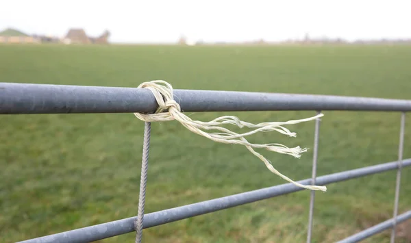 Litet Rep Staket Blåsig Dag Nederländerna — Stockfoto