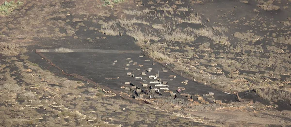 Dusty Landscape Wijngaarden Het Eiland Lanzarote Spanje — Stockfoto