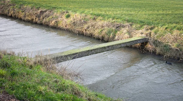 Pequena Ponte Concreto Sobre Uma Pequena Vala Países Baixos — Fotografia de Stock