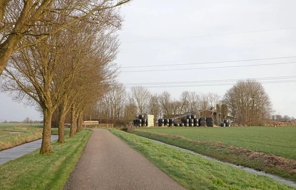 Siano Bele Plastikowym Opakowaniu Holenderskiej Farmie — Zdjęcie stockowe