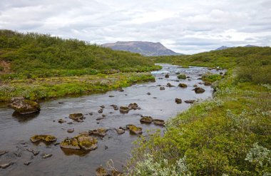 İzlanda 'da mavi nehir şelalesi, Bruarfoss nehrinin aşağısında.