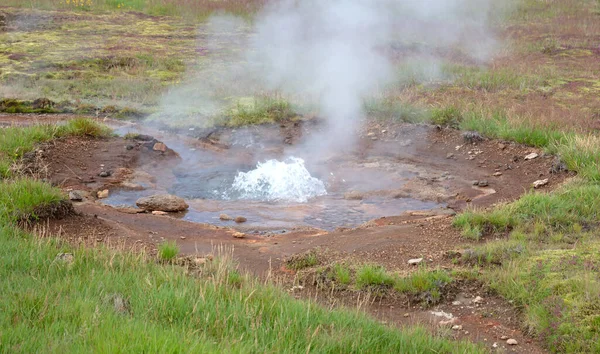 Steamy Field Small Hot Spring Geysir Hot Spring Area Iceland — Stock Photo, Image