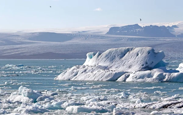 Jokulsarlon Μεγαλύτερη Λιμνοθάλασσα Παγετώνων Λίμνη Στη Νοτιοανατολική Ισλανδία Στην Κεφαλή — Φωτογραφία Αρχείου