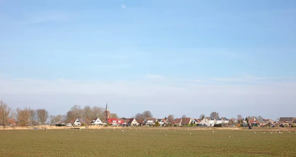 Tipikus Holland Táj Egy Falu Zöld Mező Mellett Friesland — Stock Fotó