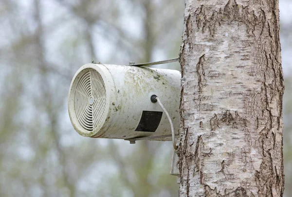 Very Old Loudspeakers Hanging Tree — Stock Photo, Image