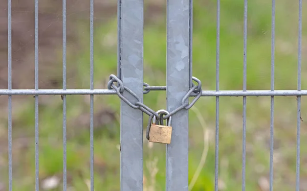 Large Metal Fence Locked Padlock Chain Selective Focus — стоковое фото