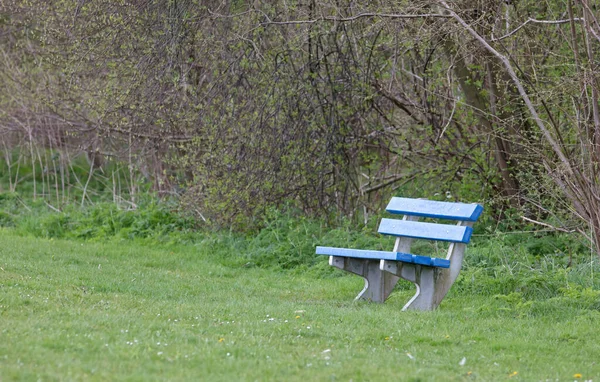 Pojedyncza Niebieska Ławka Polu Niderlandach — Zdjęcie stockowe