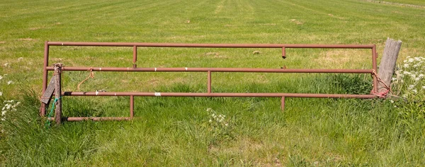 Old Rusty Fence Dutch Meadow —  Fotos de Stock