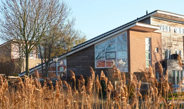 Modern Ház Hollandiában Természetben Friesland — Stock Fotó