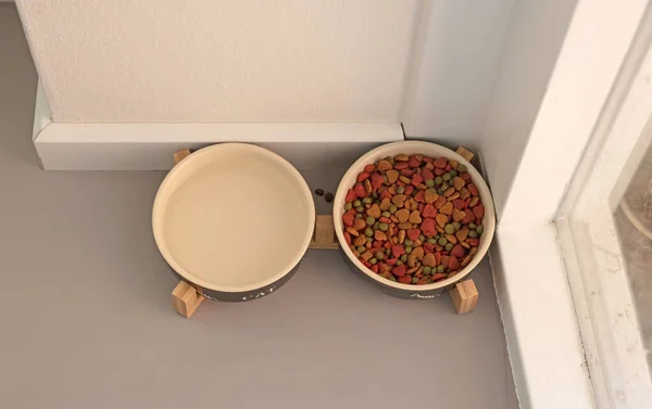 Cat Food Water Bowls Grey Kitchen Floor — Stockfoto