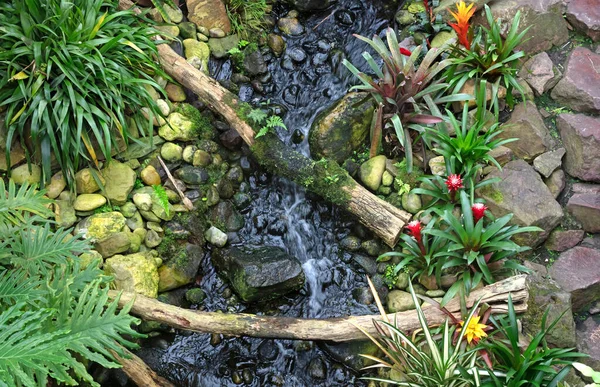 River flowing in a jungle, fresh flowers and logs over the river