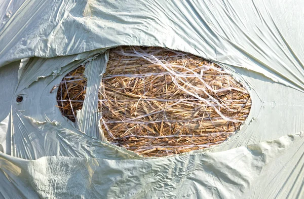 Hay Bale Non Recycled Plastic Plastic Torn — Stock fotografie