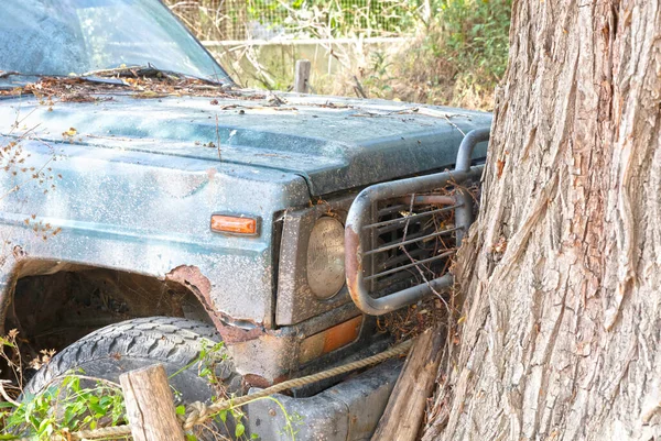 Destruição Automóveis Árvore Grande Conceito Segurança Segurança — Fotografia de Stock