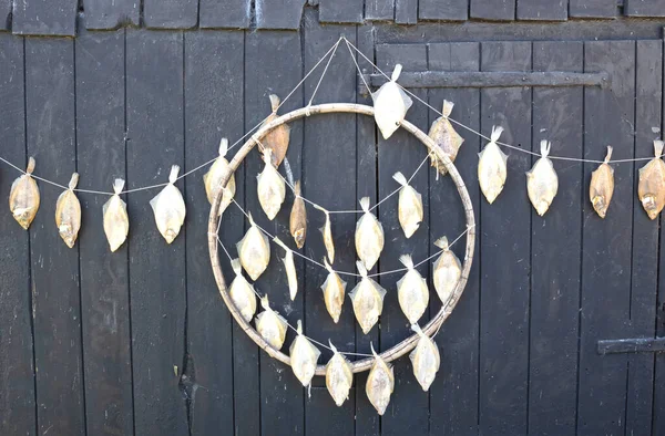 Plaice drying on a rack in the wind, the Netherlands