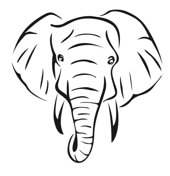 Elefante — Vetor de Stock