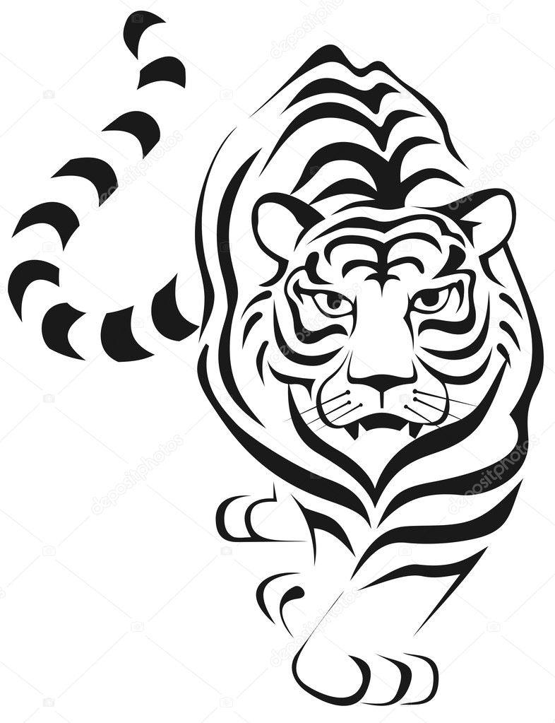 Tiger silhouette on white background. Big wild cat.Vector