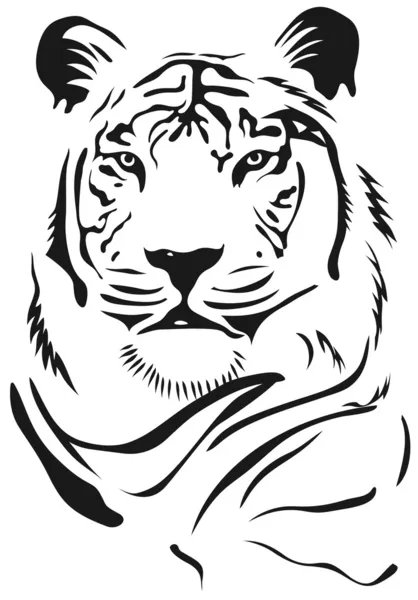 Tigre — Vector de stock