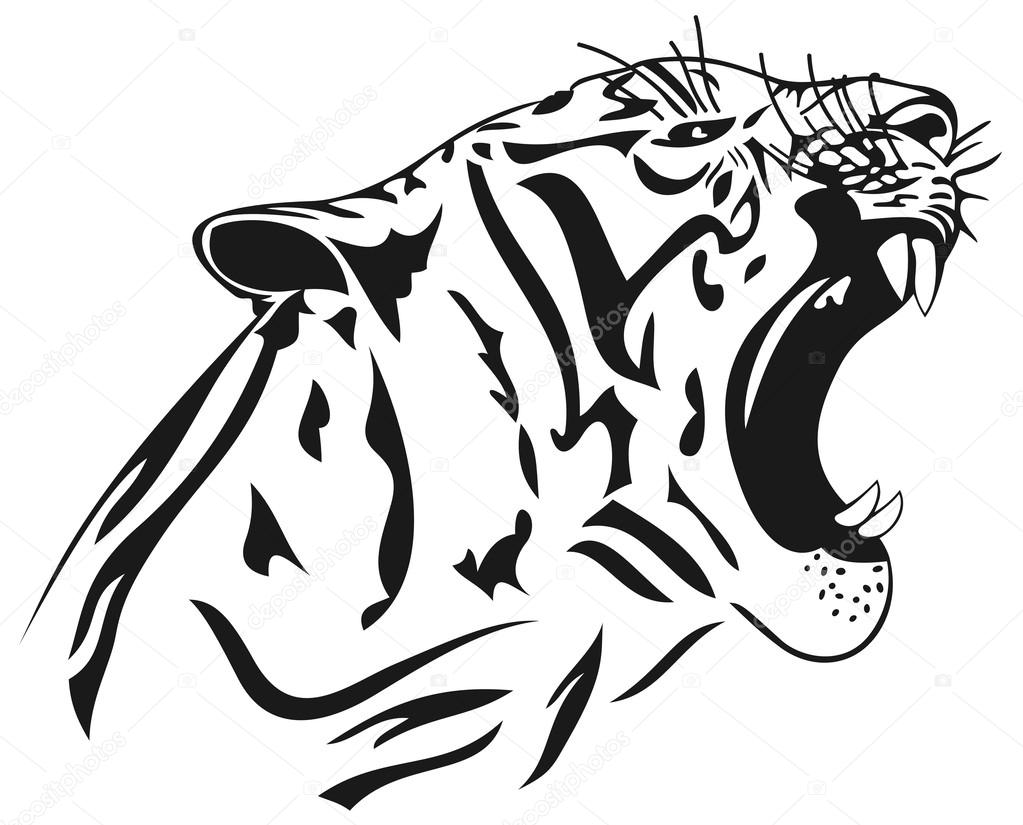 Angry animal wild cat vector illustration