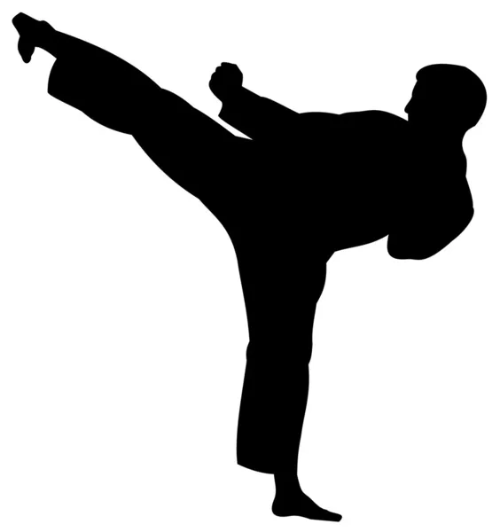 Silueta de karate — Vector de stock