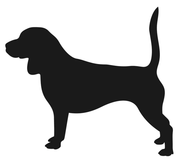 Silueta pes — Stockový vektor