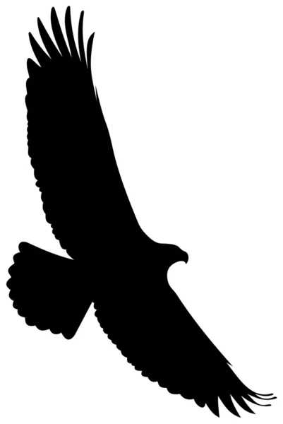 Silhouette di volo aquila — Vettoriale Stock