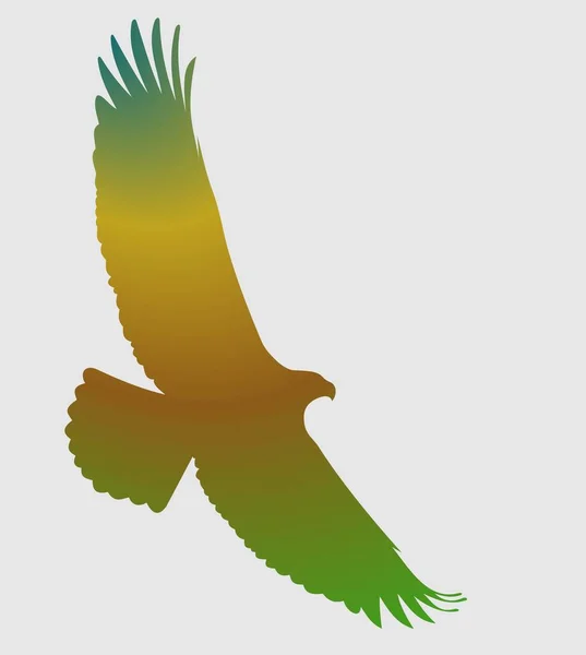 Aigle Vol Silhouette Colorée Art Illustration Vectorielle — Image vectorielle