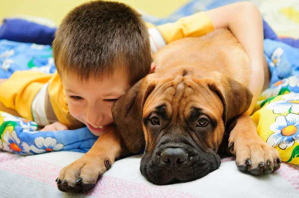 Köpek yavrusu bullmastiff çocuk ile — Stok fotoğraf