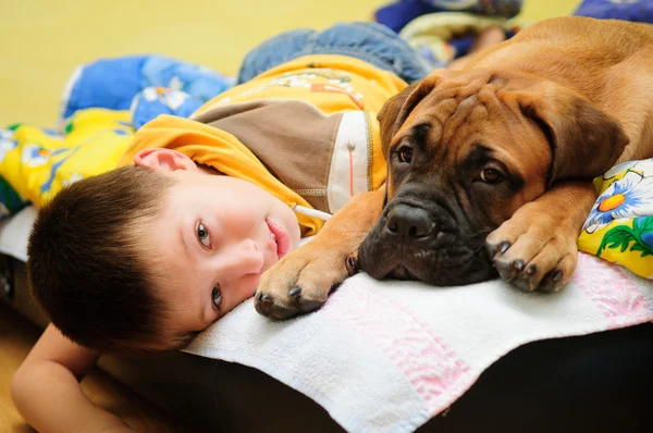 Köpek yavrusu bullmastiff çocuk ile — Stok fotoğraf