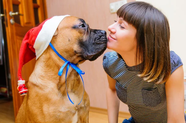 Woman and dog Stock Image