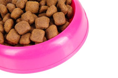 köpek maması kase