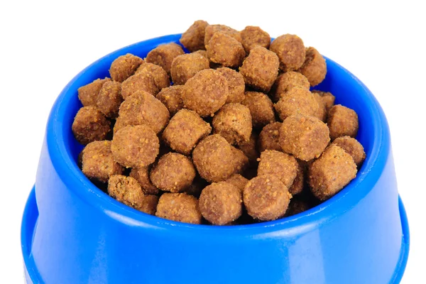 Dog food in bowl — Stock Photo, Image