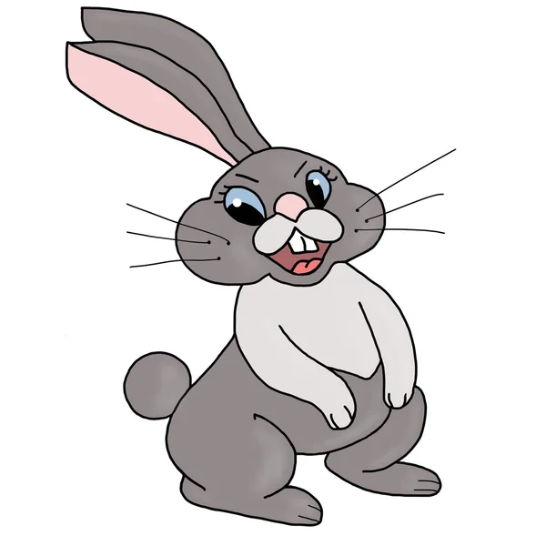 Kreslený králík izolované — Stock fotografie