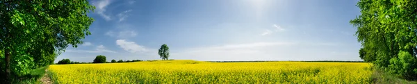 Wunderschönes Frühlingspanorama — Stockfoto