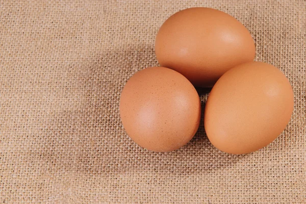 तीन अंडी जवळ-अप — स्टॉक फोटो, इमेज