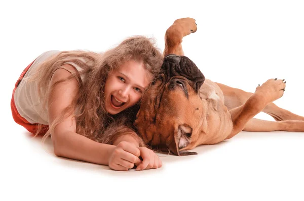 Дівчина і собака бульмастиф — стокове фото