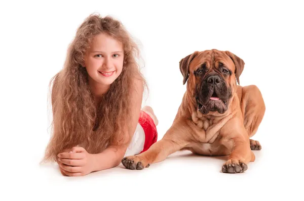 Kız ve köpek bullmastiff — Stok fotoğraf