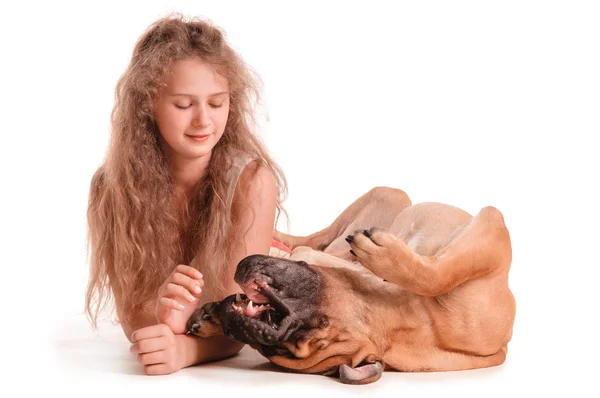 Girl and dog bullmastiff — Stock Photo, Image