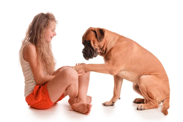 Girl and dog bullmastiff — Stock Photo, Image