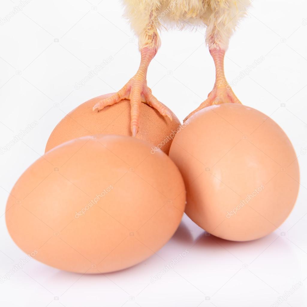 eggs and chicken legs