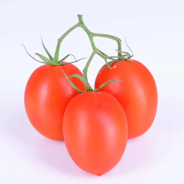 Tomates vermelhos maduros — Fotografia de Stock