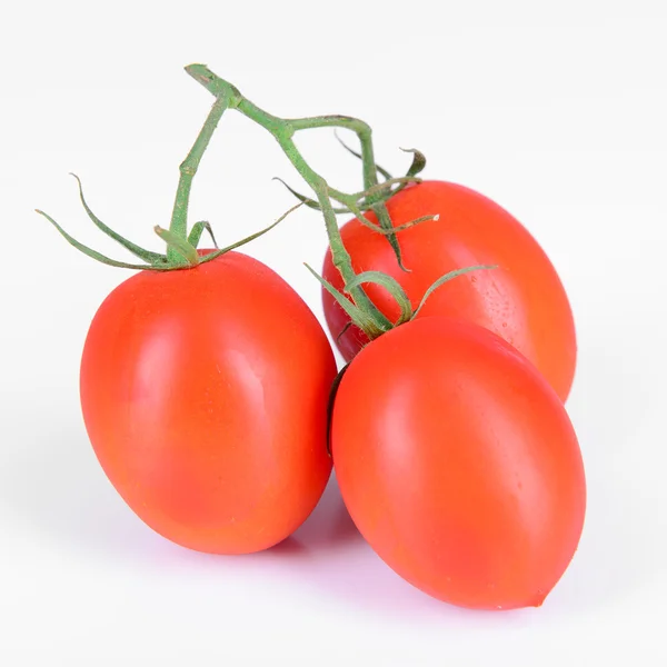 Pomodori maturi rossi — Foto Stock