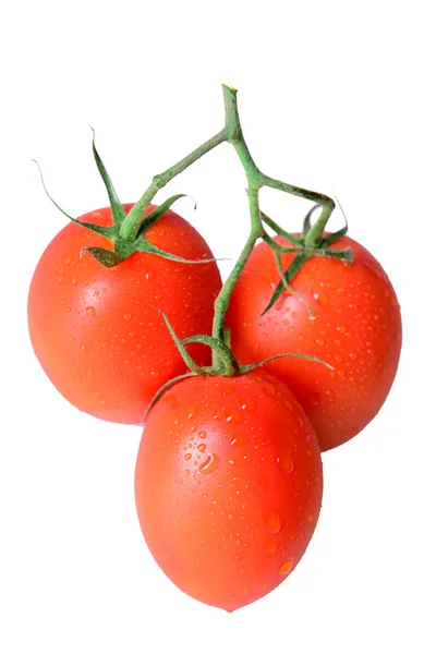 Rode rijpe tomaten — Stockfoto