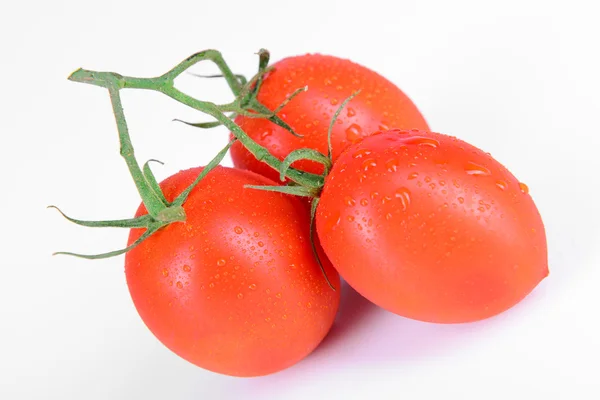 Rote reife Tomaten — Stockfoto