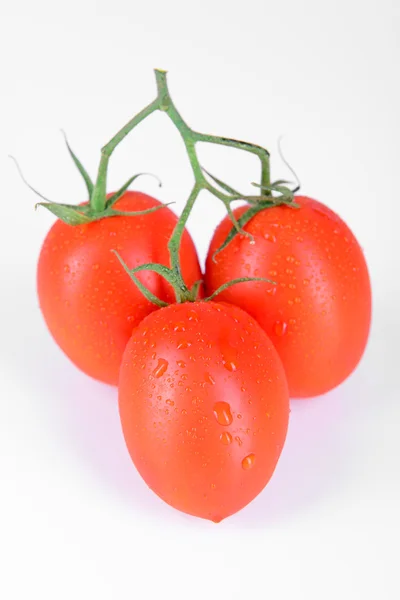 लाल परिपक्व टोमॅटो — स्टॉक फोटो, इमेज