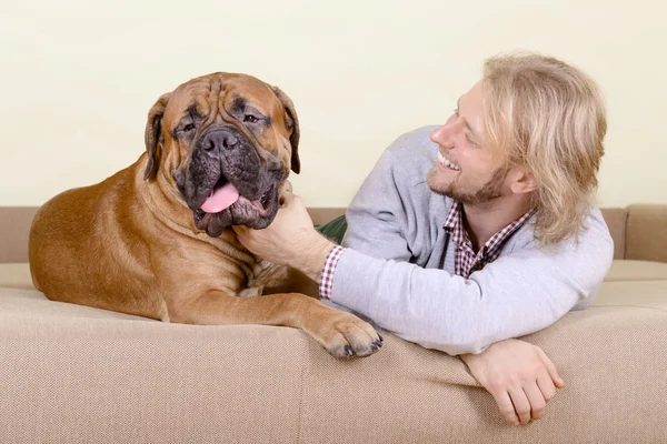 Man with big dog — Stock Photo, Image