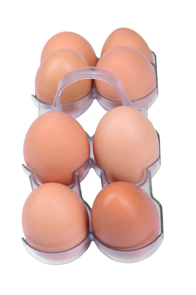 Eier im Container — Stockfoto