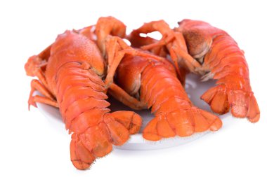 haşlanmış kırmızı crawfishes