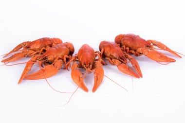 haşlanmış kırmızı crawfishes