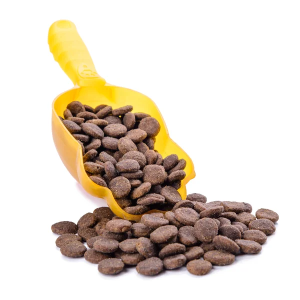 Dog food  isolated — Stock Photo, Image