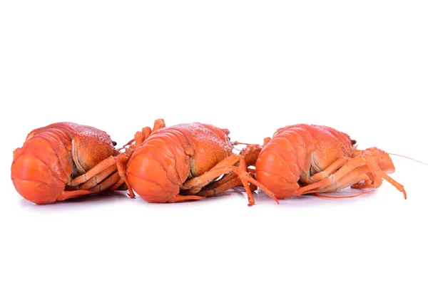 Haşlanmış kırmızı crawfishes — Stok fotoğraf